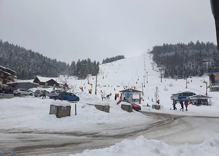Residence Belle Hutte Cote Pistes De Ski