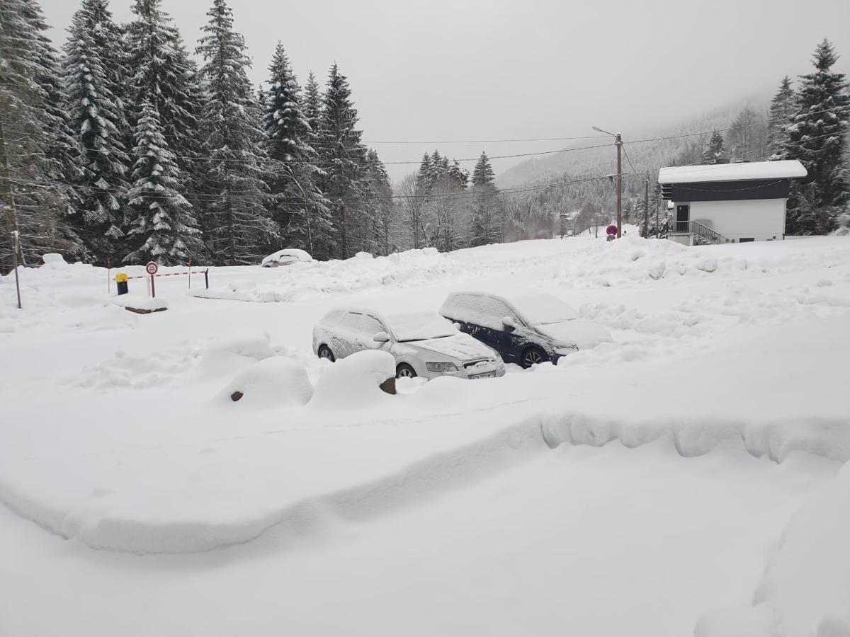 Belle Hutte Cote Pistes De Apartment *