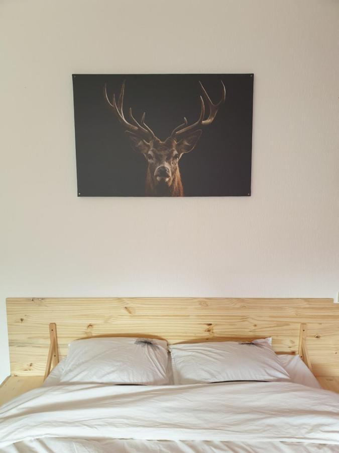 Apartment Belle Hutte Cote Pistes De