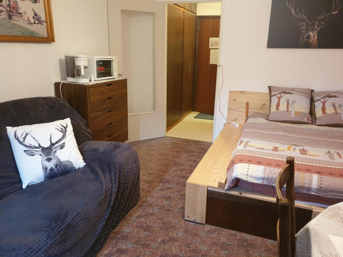 Belle Hutte Cote Pistes De Apartment